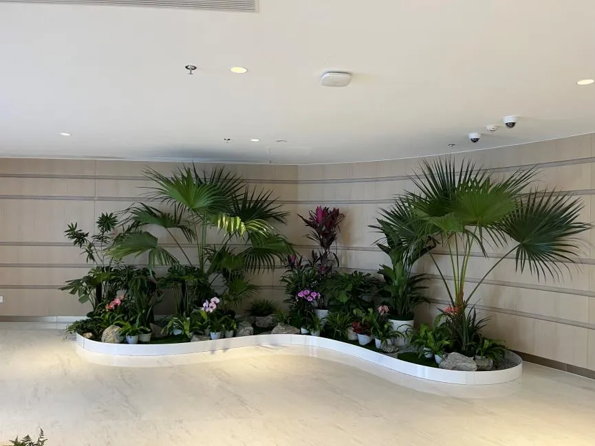 速看！鄞州绿植租摆方案，开启别样绿色之旅