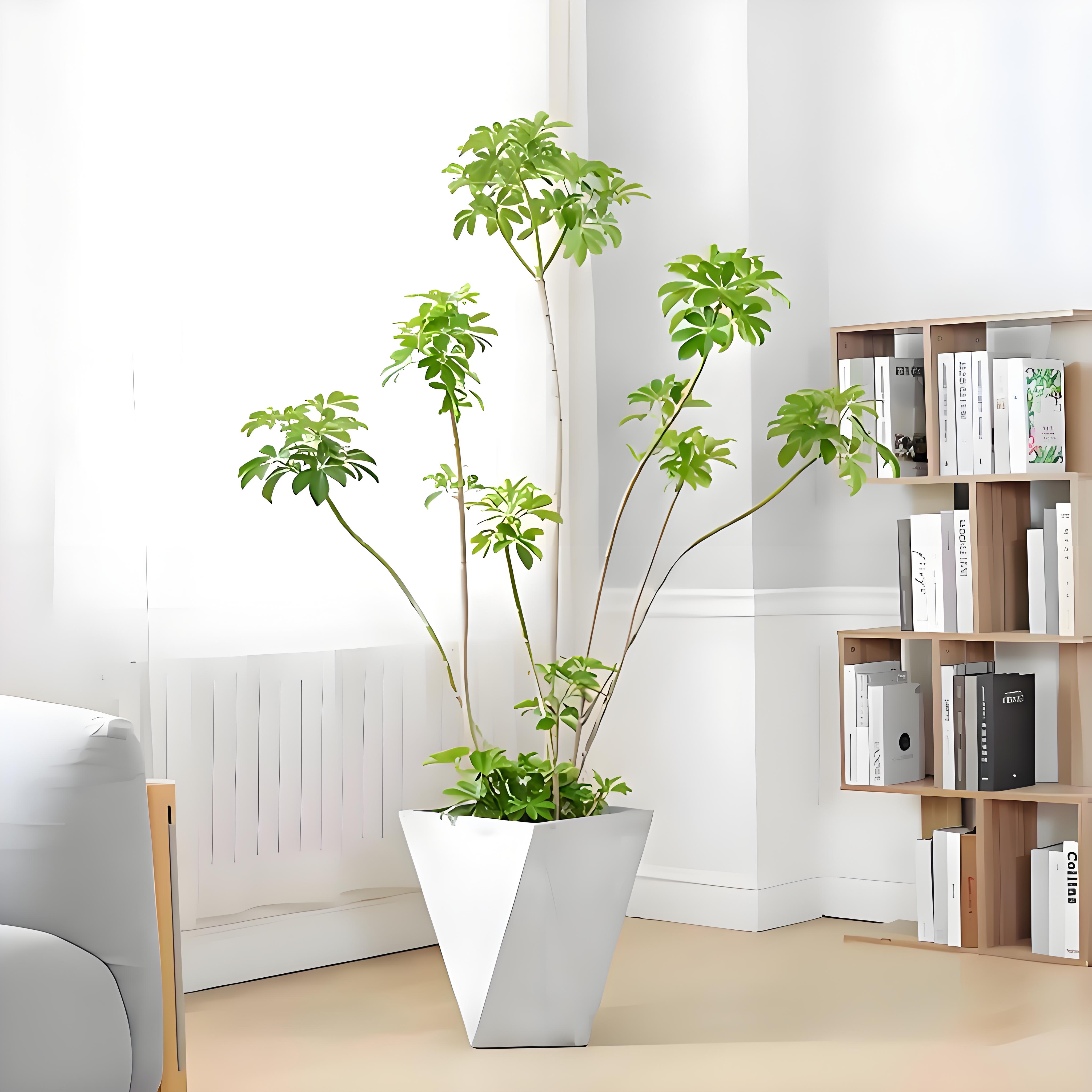 “深度解析奉化花卉租摆设计，领略花卉艺术验